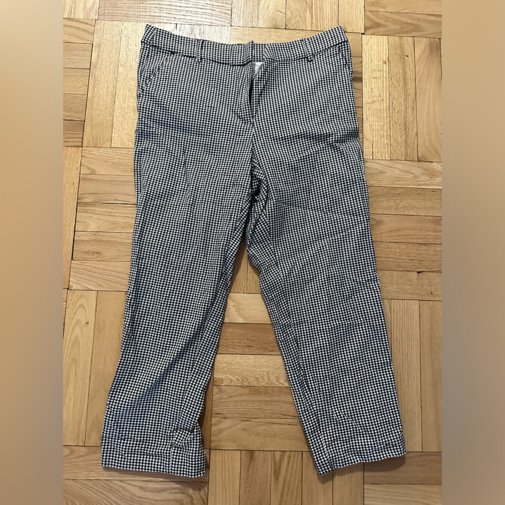 Loft dress pants size 12 curvy fit